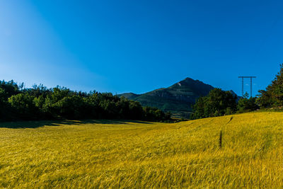 Scenic view of field against blue sky