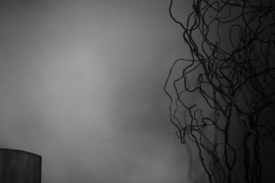 Low angle view of bare tree against sky