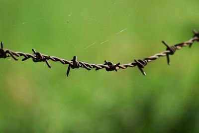 Close-up of barbed wire fence