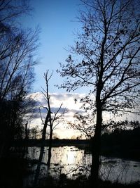 Silhouette bare trees by lake against sky during winter