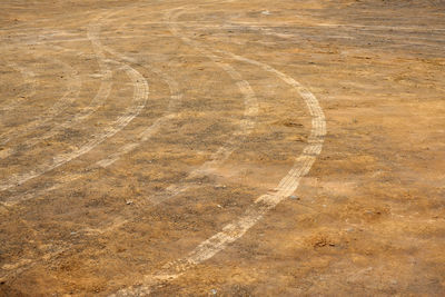 Tire tread marks on the ground as a backdrop.