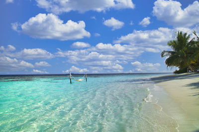 Beautiful coral reef sea of the maldives in the indian ocean