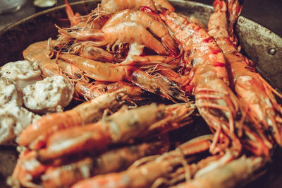 Close-up of seafood in plate