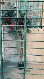 View of tree