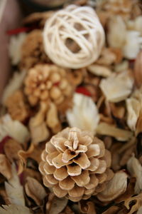 Close-up view of flowers