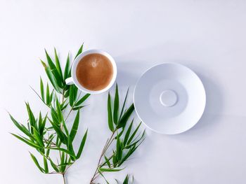 Directly above shot of tea served on table