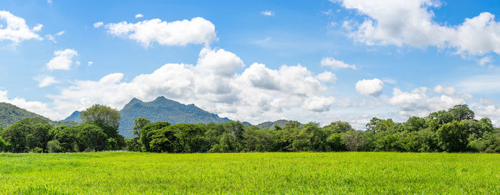 Panoramic view of field against sky