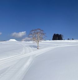 Scenic view of snowcapped landscape against blue sky