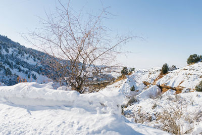 Winter in the mountains of uzbekistan. on the way to beldersay resort. tian shan mountain 
