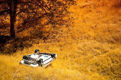 Bicycle sitting on field during autumn