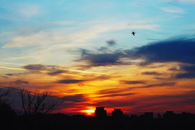Silhouette of buildings at sunset