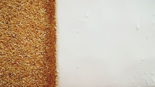 Close-up of food