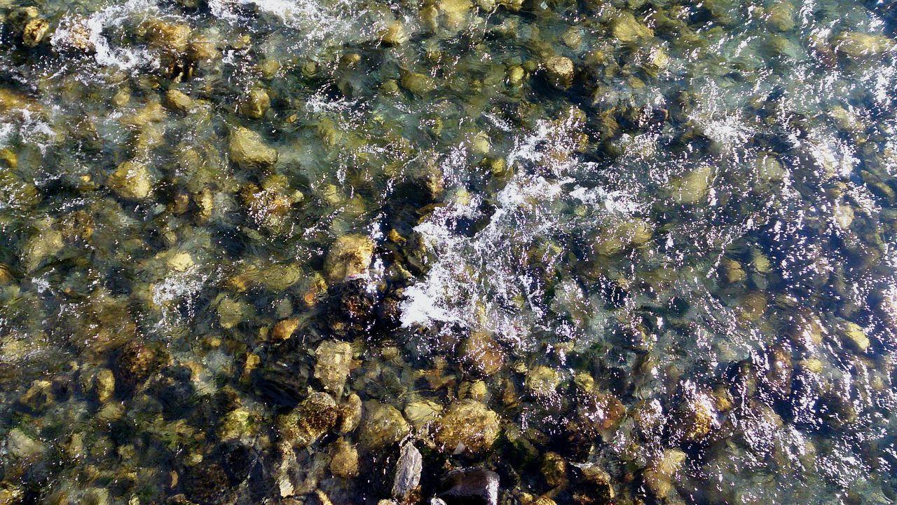 water, high angle view, full frame, nature, reflection, backgrounds, day, outdoors, tranquility, rippled, waterfront, beauty in nature, sunlight, wet, lake, abundance, pond, no people, transparent, elevated view