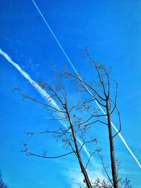 Low angle view of bare tree against blue sky