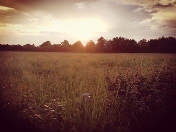 Scenic view of field against sky during sunset