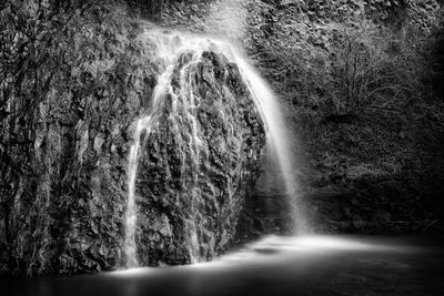 Scenic view of waterfall in forest