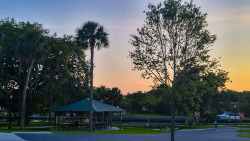 Trees against sky at sunset