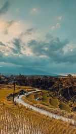 Rice terrace when sunrise in indoneasia