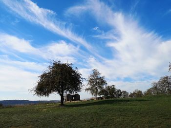 Trees on field against sky