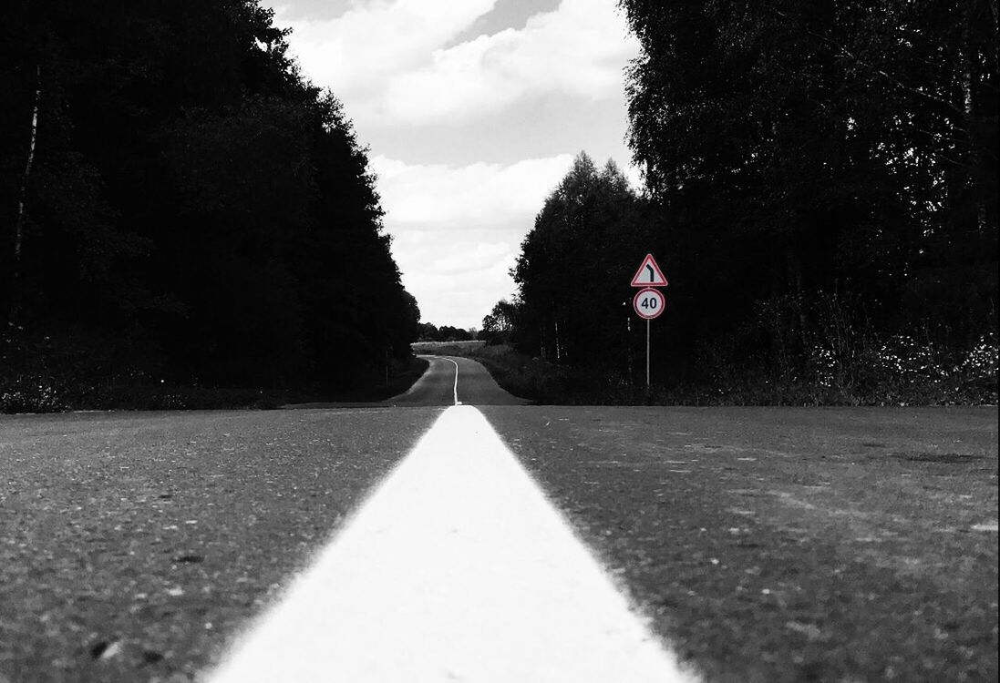 ROAD AMIDST TREES