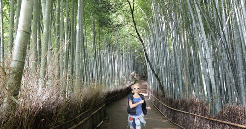 Woman standing on footpath amidst bamboos in forest