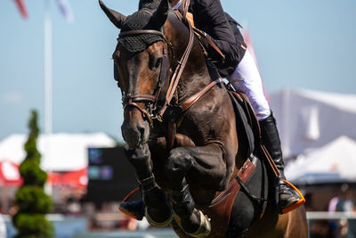 Horse jumping, equestrian sports themed photo.