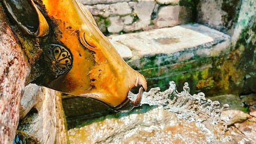 Low section of shoes by water