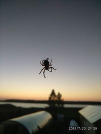 Silhouette of spider against sky at sunset