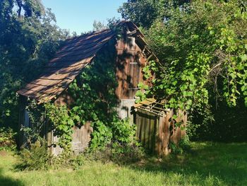 Old house amidst trees and building against sky