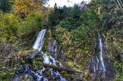 Low angle view of waterfall against trees