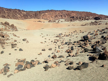 Scenic view of desert