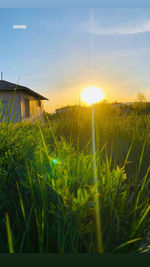 Scenic view of field against sky during sunset