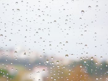 Close-up of raindrops on window