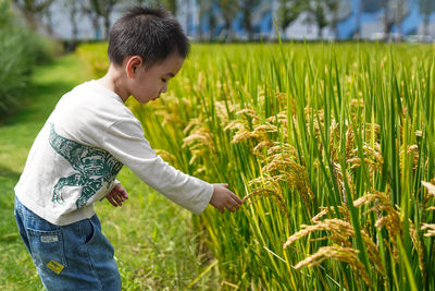 Side view of young man gardening in farm