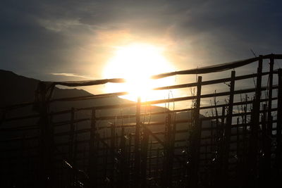 Sun shining through fence