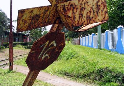 Clothes drying on grass