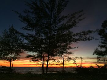 Silhouette of trees at sunset