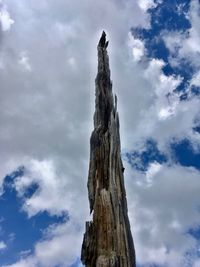 Low angle view of tree trunk against sky