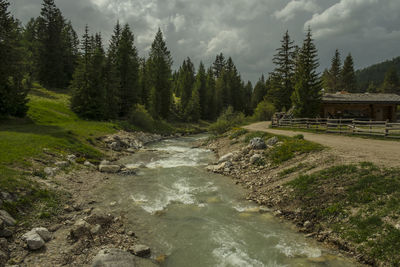 Panoramic shot of water flowing in forest against sky