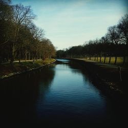 Scenic view of river amidst trees against sky