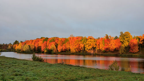 Scenic view of lake by trees against sky during autumn