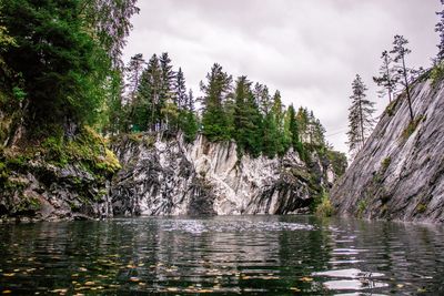 Scenic view of river amidst trees in forest against sky