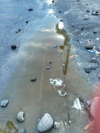 High angle view of water on beach