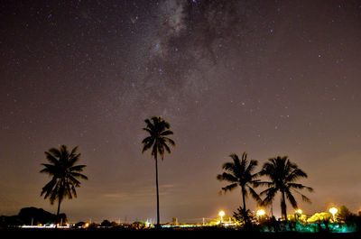 Silhouette palm trees against sky at night