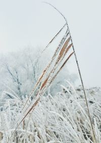 Low angle view of snow against sky