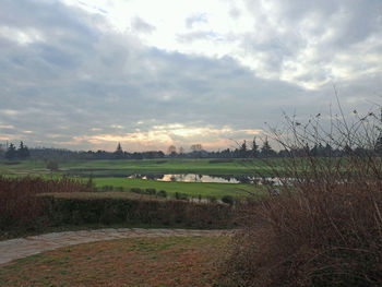 Scenic view of field against sky