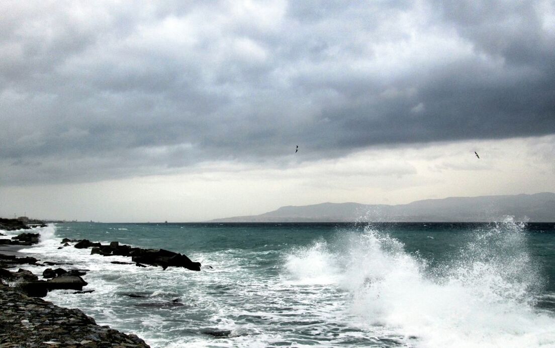 sea, water, sky, bird, scenics, cloud - sky, horizon over water, beauty in nature, cloudy, flying, tranquil scene, animals in the wild, animal themes, nature, wildlife, tranquility, waterfront, wave, cloud, overcast