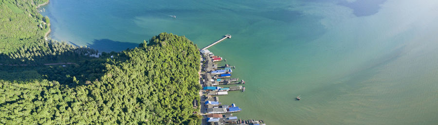 High angle view of plants by sea