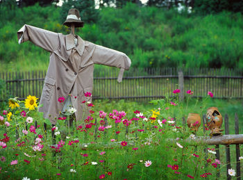 Scarecrow by flowers on field