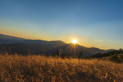 Scenic view of field against sky during sunset